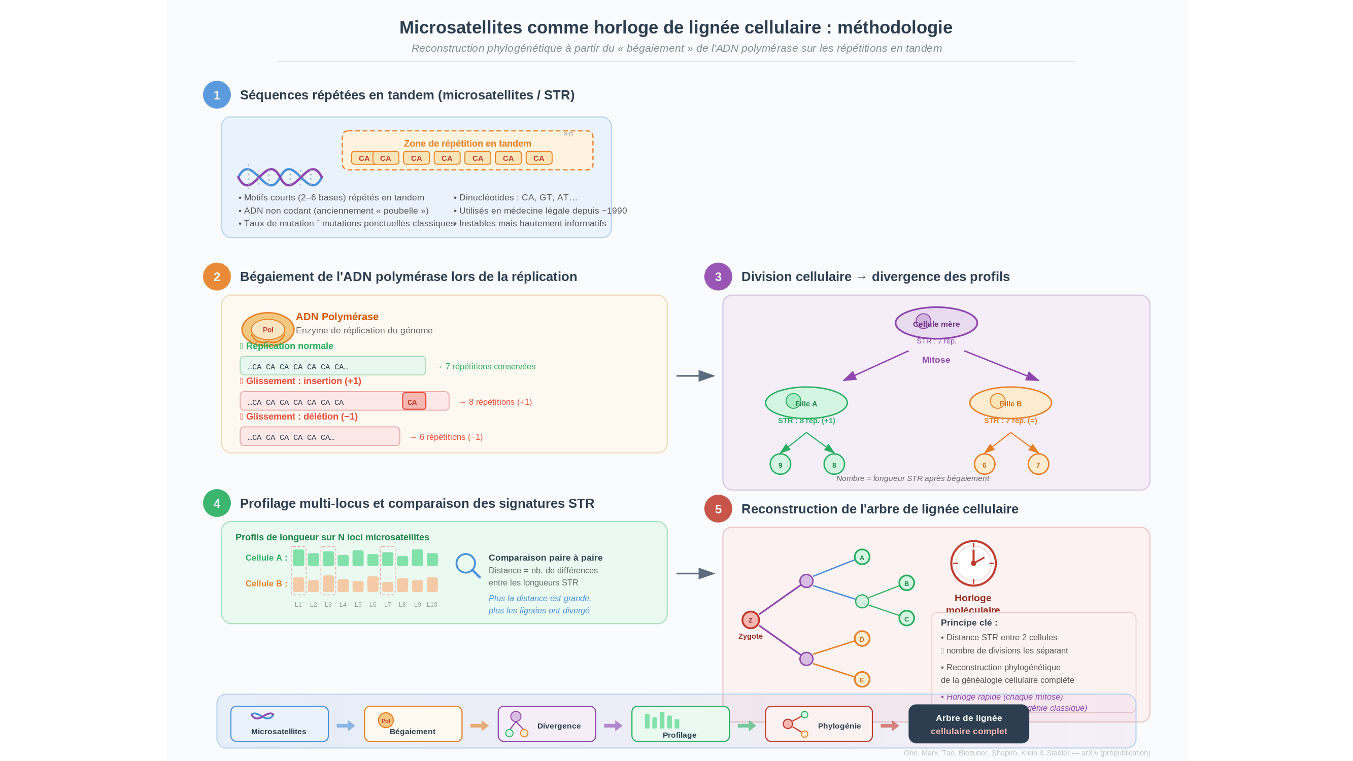Diagramme scientifique