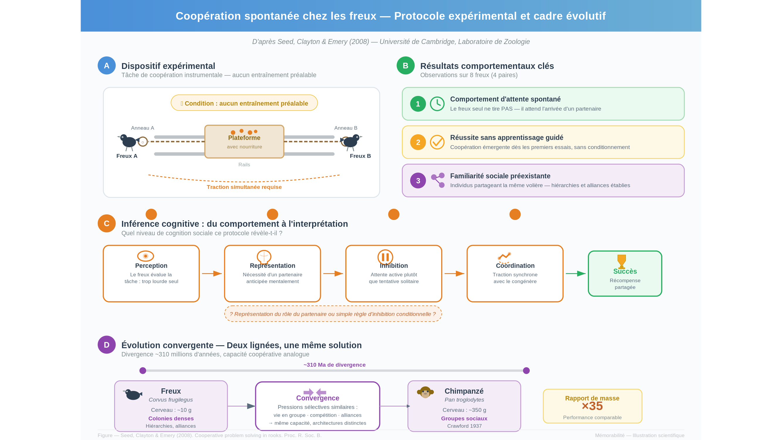 Diagramme scientifique