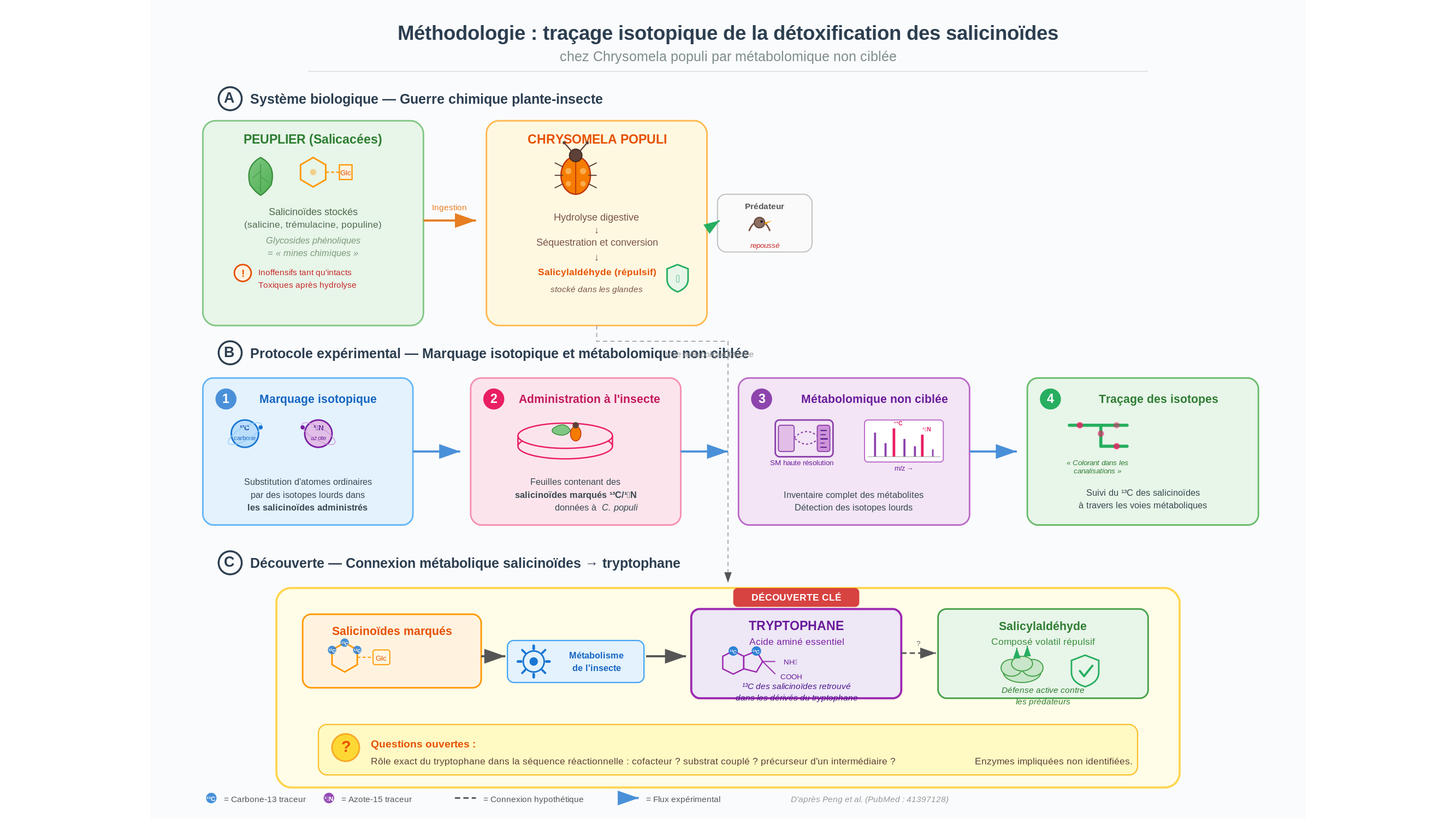 Diagramme scientifique